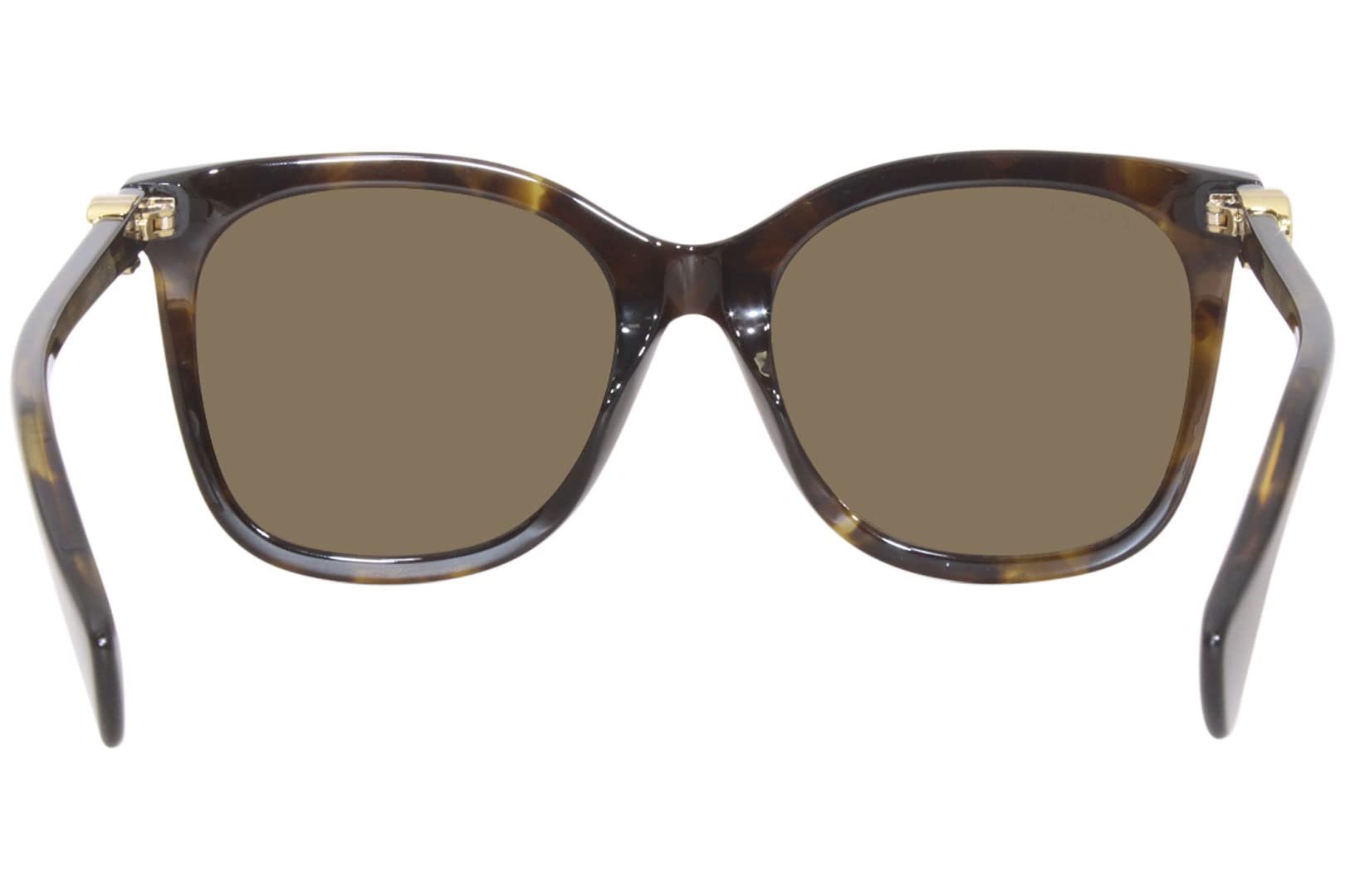 Gucci GG1071S Shiny Dark Brown Havana/Brown One Size