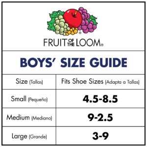 Fruit Of the Loom Boys' Dual Defense No Show Socks (10 Pack), White, Large (3-9)