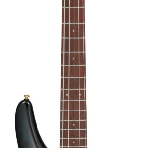 Ibanez SR405EPBDX 5-string Electric Bass - Tropical Seafloor Burst