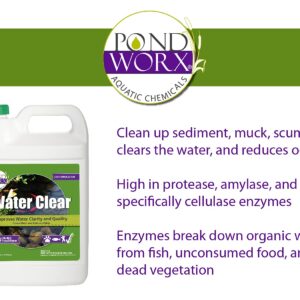 PondWorx Pond Bacteria and Water Clear- Formulated for Large Ponds, Water Features and Safe for Koi, Improves Water Quality- Gallon