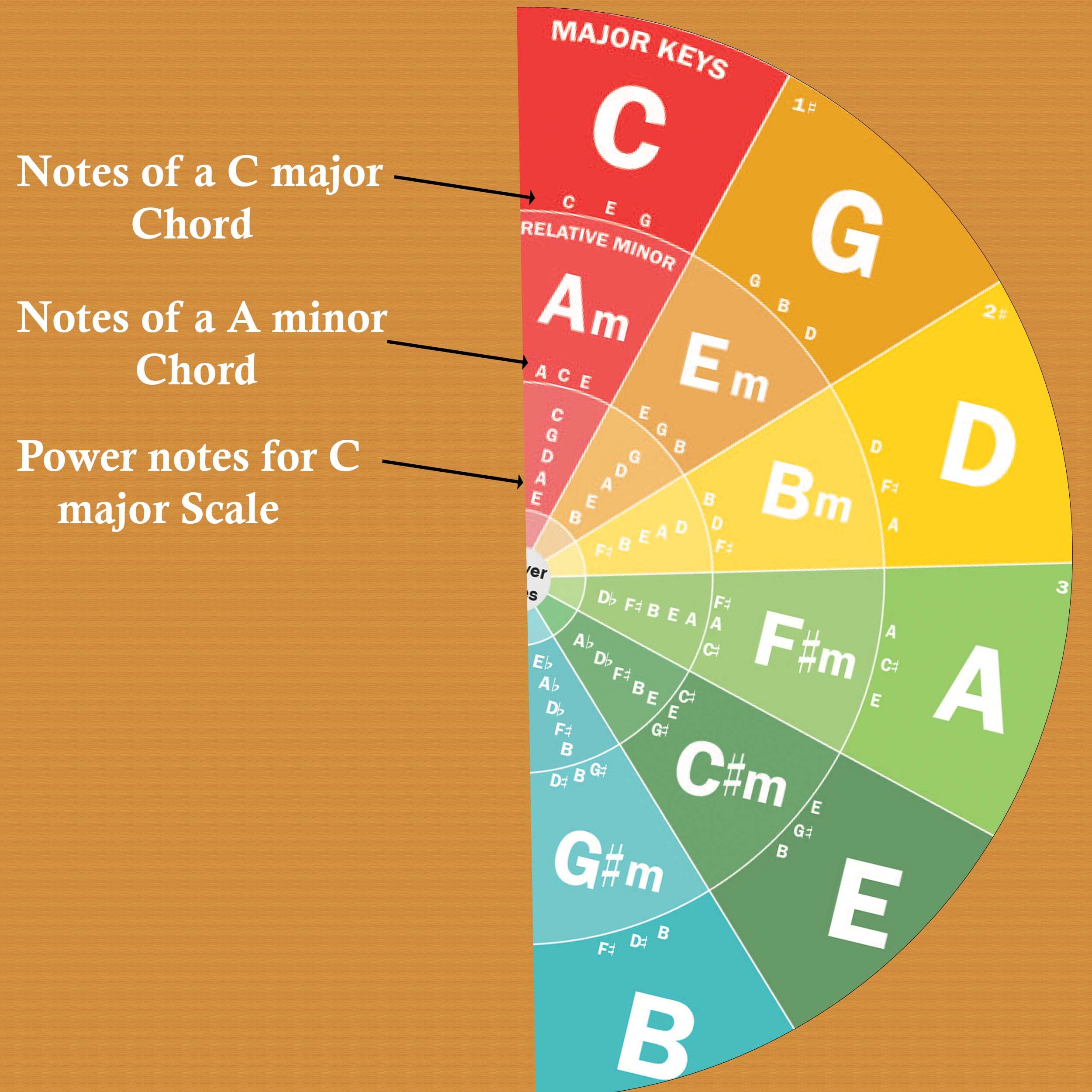 QMG The Circle of Fifths Poster for Guitar and Piano- Reference Guide for Beginner to Learn Harmony and Music Theory, Guitar Chord Posters, Laminated Guitar Wall Chart (Size: 8.5”x11”)