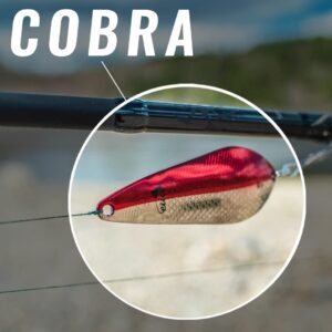 ETIC Cobra 2.5", ½oz Fishing Spoons Kit 100% Made of Brass, 3 pcs Fishing Lures, Tackle, Hooks, Baits, Spinning, Casting, Trolling for Trout, Salmon, Pike, Walleye, Bass and Mores