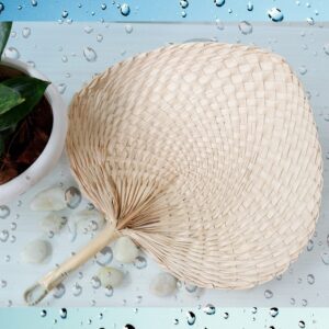 Palm Leaf Fan Woven Farmhouse Kitchen Summer Cooling Party Beach Wedding Camping 1 Pack (Standard)