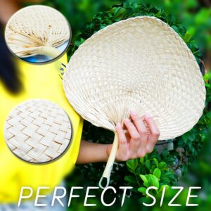 Palm Leaf Fan Woven Farmhouse Kitchen Summer Cooling Party Beach Wedding Camping 1 Pack (Standard)