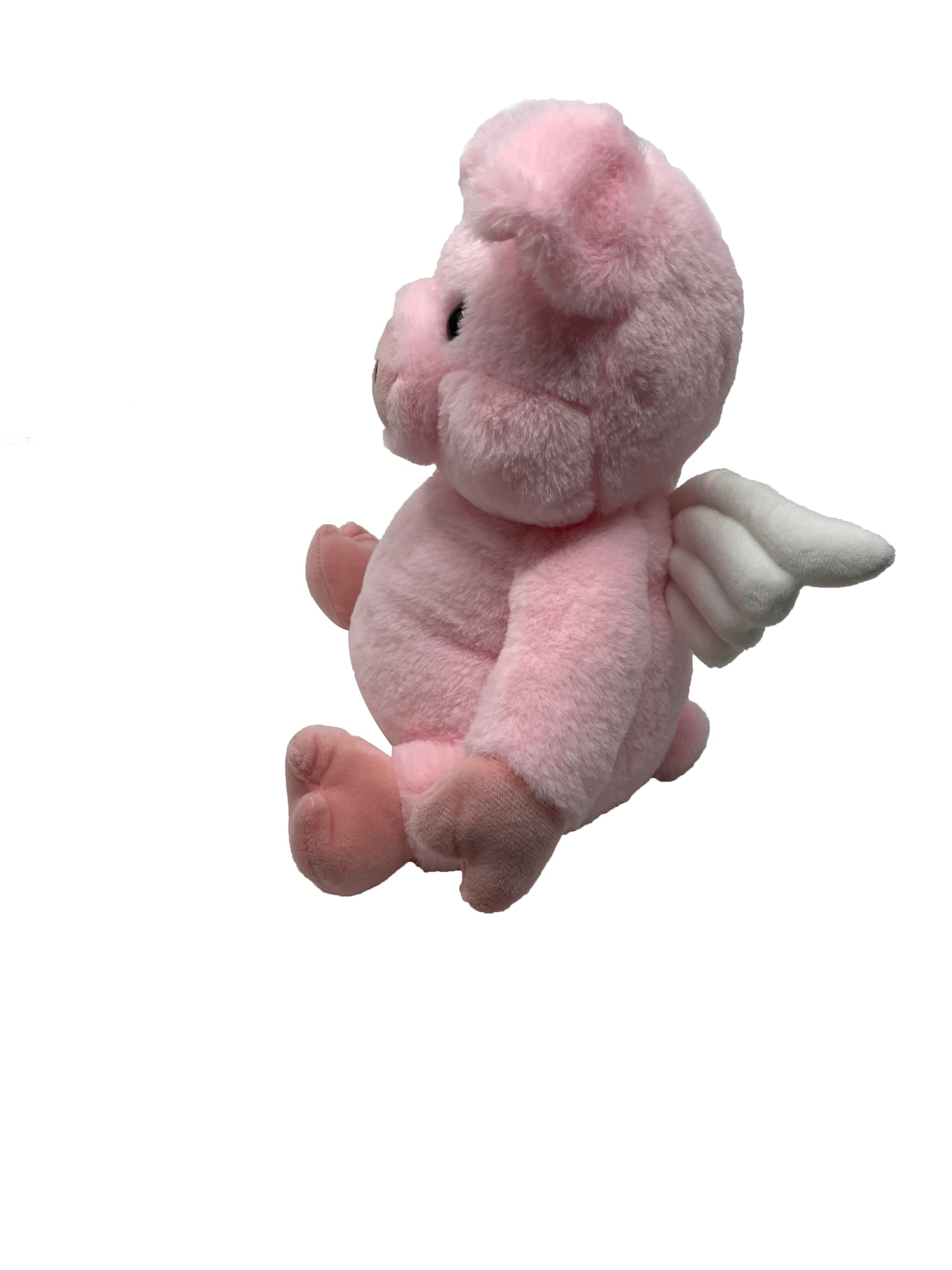 Flying Piggy