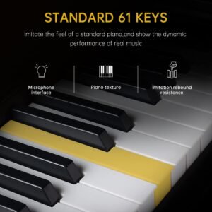 Lankro 61 Key Keyboard Piano Electric Keyboard Kit Lighted Keys With LCD Display, Microphone, Power Supply, Audio Cable, Piano Key Stickers, White