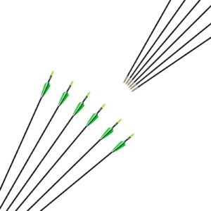 NC93 31Inch Archery Target Practice Arrows Fiberglass Arrows for Youth Children Beginner Recurve Bow Traditional Bow Shooting (6pcs) (Green)