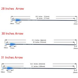 COLORFUL EAGLE Archery Carbon Arrow Hunting Target Practice Arrows 28 30 31 Inch with Removable Tips for Compound & Recurve Bow Spine 500 (6/12PCS) (6 pcs 28 inch)