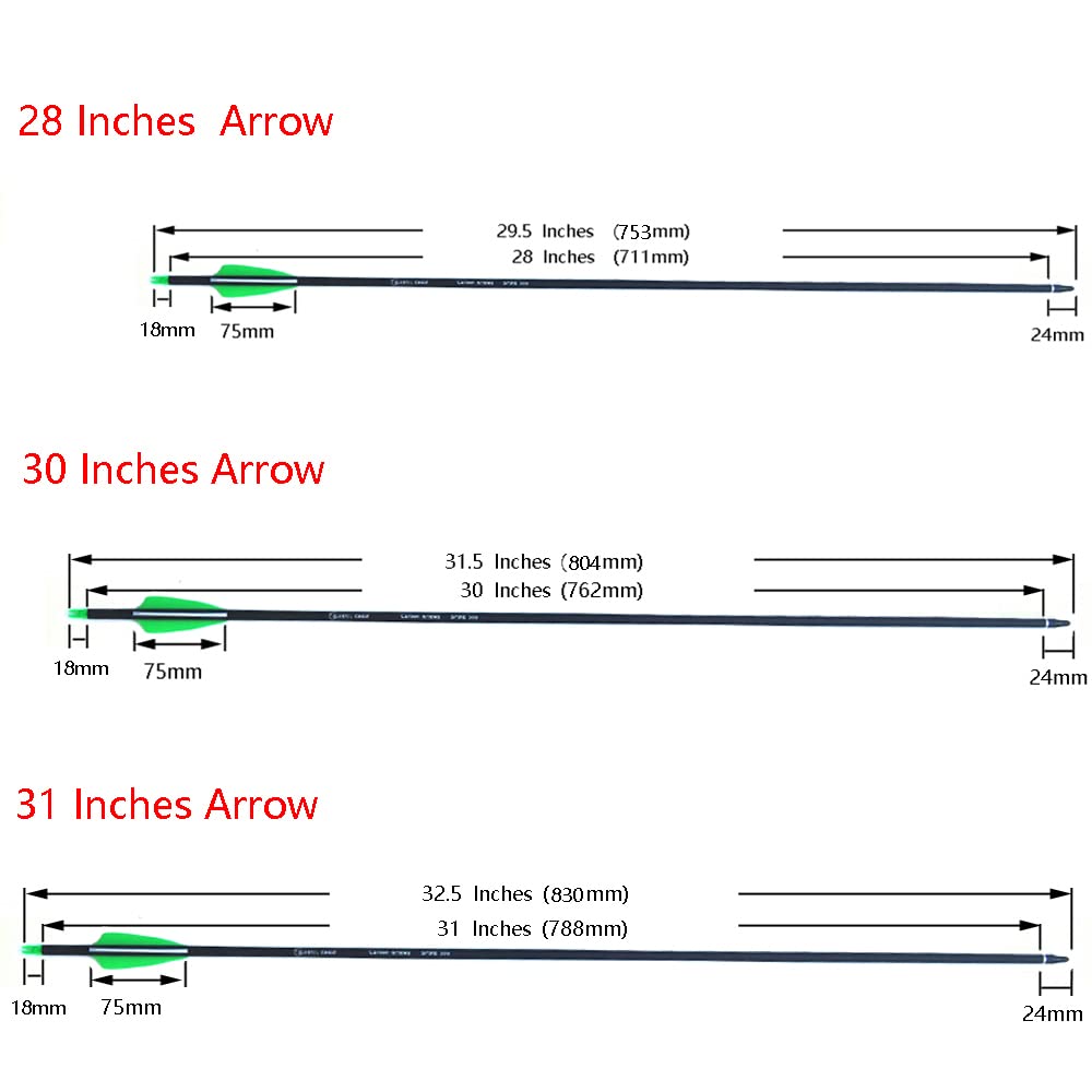 COLORFUL EAGLE Carbon Arrow Hunting Arrows with 100 Grain Tip and Removable Tips for Archery Compound & Recurve & Traditional Bow Practice Shooting Targeting (Pack of 6/12) (6 pcs 30 inch)