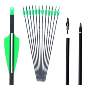 COLORFUL EAGLE Carbon Arrow Hunting Arrows with 100 Grain Tip and Removable Tips for Archery Compound & Recurve & Traditional Bow Practice Shooting Targeting (Pack of 6/12) (6 pcs 30 inch)