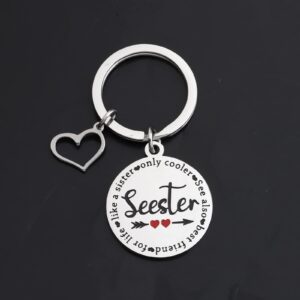 FAADBUK Seester Noun Gift Sister Gift Seester Definition keychain Step Sister Gift Big Sis Lil Sis Gift (Seester Noun)