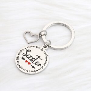 FAADBUK Seester Noun Gift Sister Gift Seester Definition keychain Step Sister Gift Big Sis Lil Sis Gift (Seester Noun)