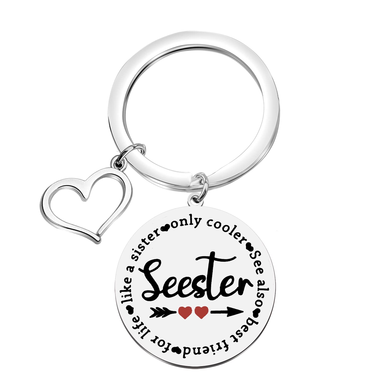 FAADBUK Seester Noun Gift Sister Gift Seester Definition keychain Step Sister Gift Big Sis Lil Sis Gift (Seester Noun)