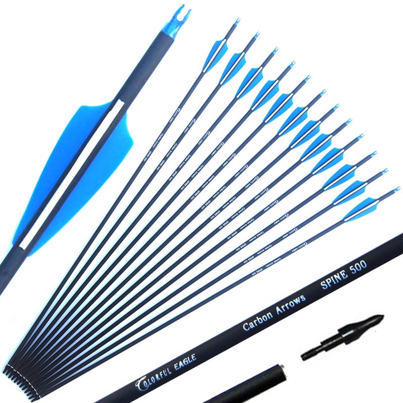 COLORFUL EAGLE Archery Carbon Arrow Hunting Target Practice Arrows 28 30 31 Inch with Removable Tips for Compound & Recurve Bow Spine 500 (6/12PCS) (6 pcs 28 inch)