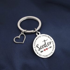 FAADBUK Seester Noun Gift Sister Gift Seester Definition keychain Step Sister Gift Big Sis Lil Sis Gift (Seester Noun)