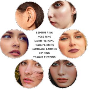 JOERICA 32PCS 16G Horseshoe Septum Rings Stainless Steel Nose Circular Barbells Rings Cartilage Tragus Helix Eyebrow Colorful Daith Earring Piercings Body Jewelry Ball/Arrow 8mm 10mm