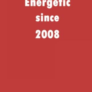 Energetic since 2008: A good notebook gift for who's born in 2008, blank lined notebook journal - 120 pages - 6 x 9 inches