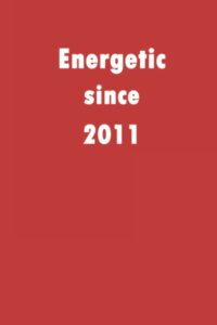 energetic since 2011: a good notebook gift for who's born in 2011, blank lined notebook journal - 120 pages - 6 x 9 inches