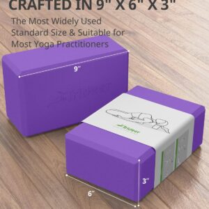 Trideer Yoga Blocks 2 Pack Purple