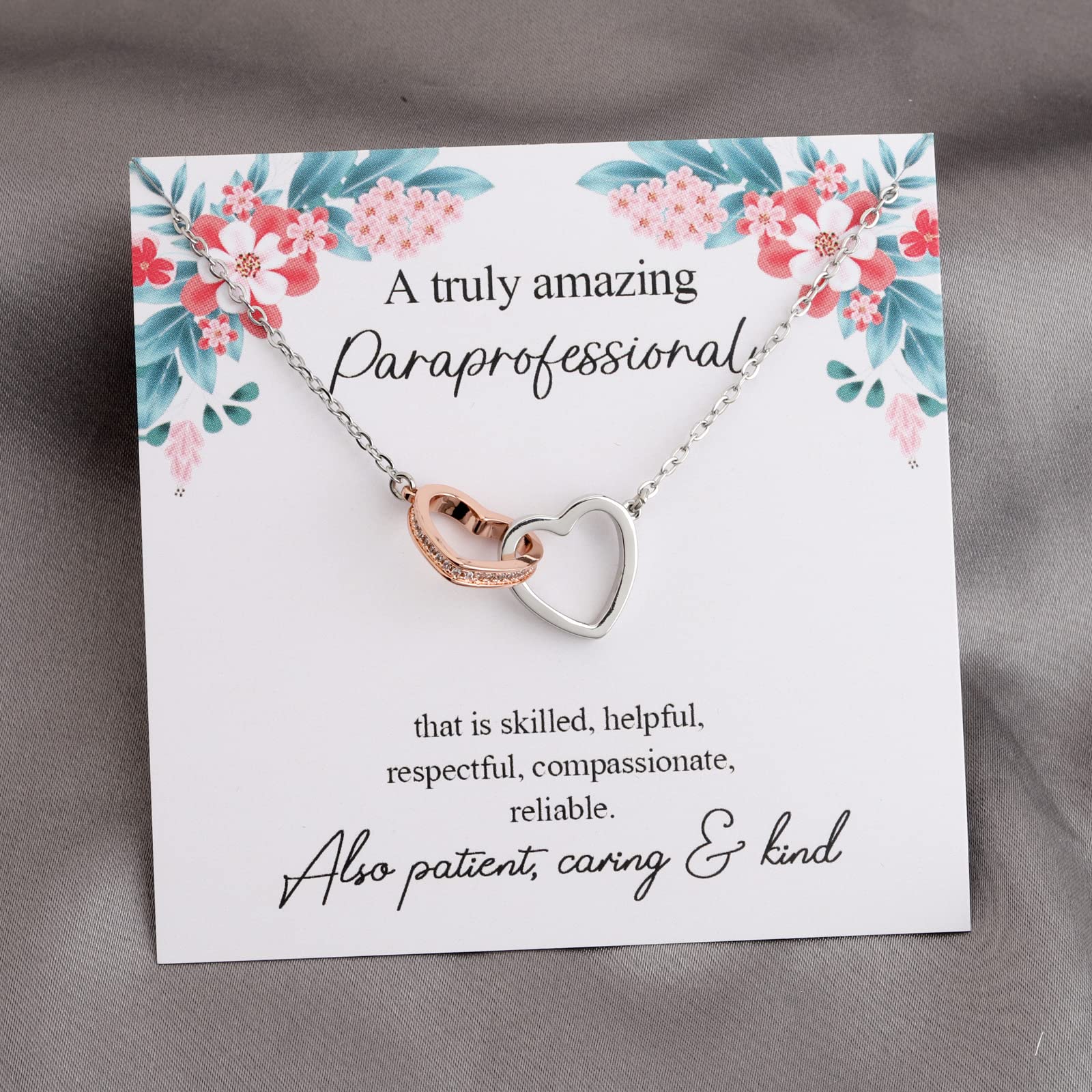 TIIMG Paraprofessional Gift A truly Amazing Paraprofessional Gift Teaching Assistant Gift (Paraprofessional)