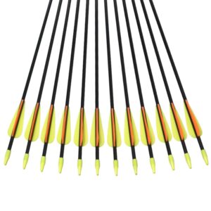 Archery Practice Fiberglass Arrows 28 Inch Target Shooting Safetyglass Recurve Bows Suitable for Youth Children Woman Beginner 6PCS