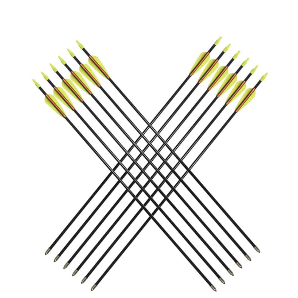 Archery Practice Fiberglass Arrows 28 Inch Target Shooting Safetyglass Recurve Bows Suitable for Youth Children Woman Beginner 6PCS