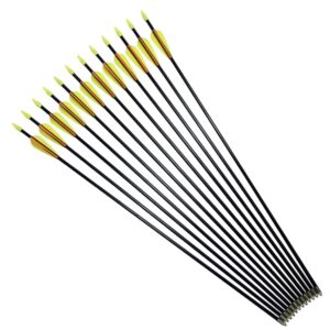 Archery Practice Fiberglass Arrows 28 Inch Target Shooting Safetyglass Recurve Bows Suitable for Youth Children Woman Beginner 6PCS