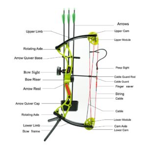 Linkboy Kid Compound Bow Set for Youth and Beginners 9-13 years Brithday Gift, Right Handed,Amounted for Shooting,Easy learning Adjustable 10-20 Lbs Archery Practice Safe arrows Passionate Orange