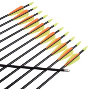 Archery Practice Fiberglass Arrows 28 Inch Target Shooting Safetyglass Recurve Bows Suitable for Youth Children Woman Beginner 6PCS