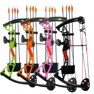 Linkboy Kid Compound Bow Set for Youth and Beginners 9-13 years Brithday Gift, Right Handed,Amounted for Shooting,Easy learning Adjustable 10-20 Lbs Archery Practice Safe arrows Passionate Orange