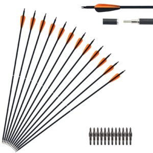 Mxessua 2 Piece Arrows Takedown Carbon Arrows Portable for Takedown Longbow Recurve Compound bow Survival Bow Traveling Spine 500, 12 Pack