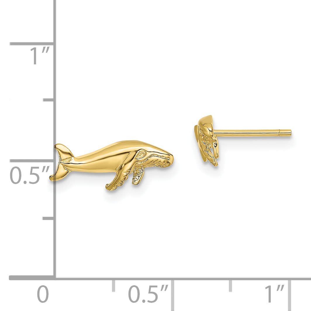 Avariah 10K Yellow Gold Whale Post Earrings - 13.1mm