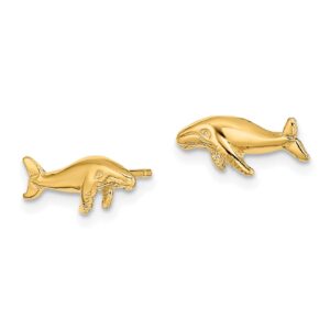 Avariah 10K Yellow Gold Whale Post Earrings - 13.1mm