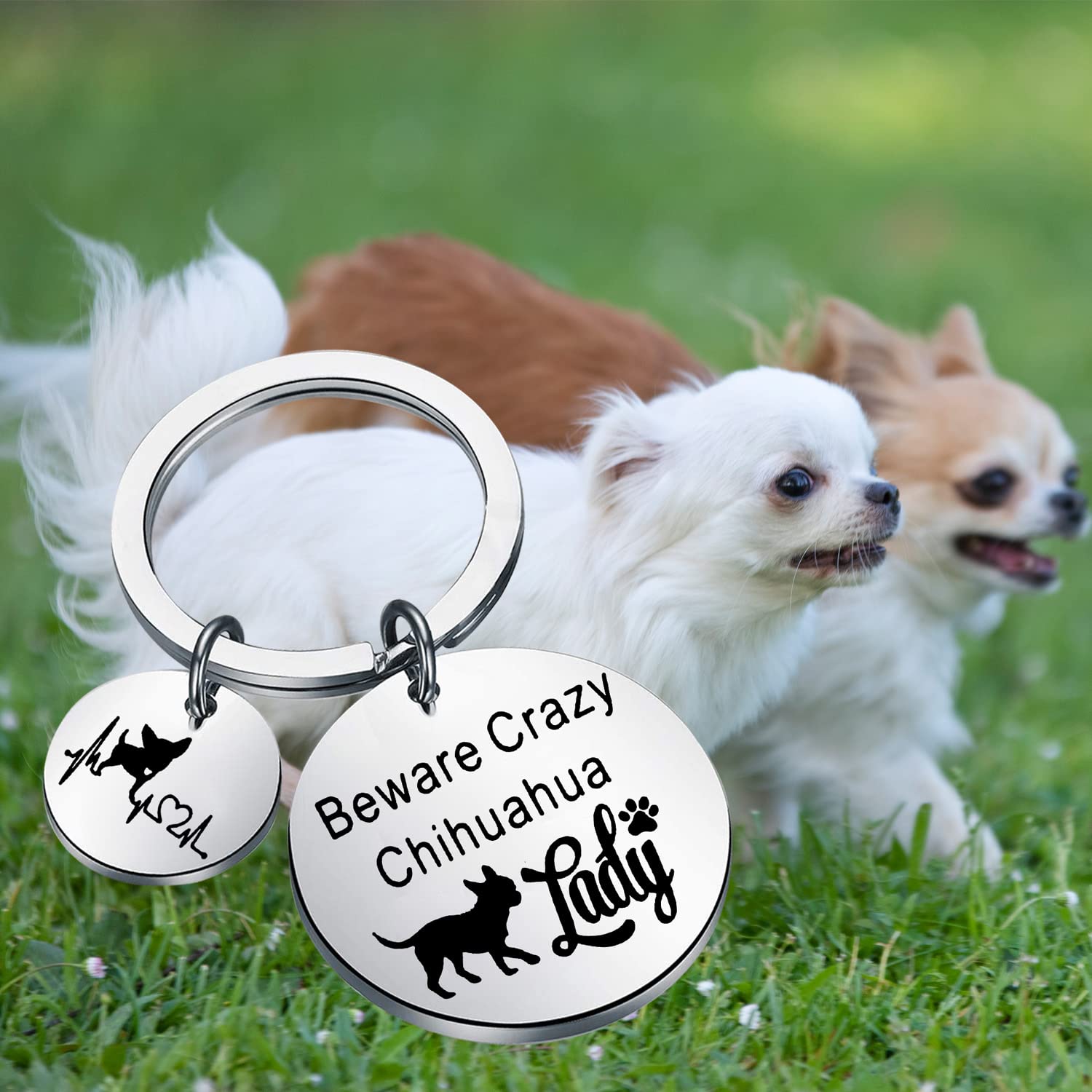 MYOSPARK Chihuahua Dog Lover Gift Beware Crazy Chihuahua Lady Keychain Chihuahua Jewelry Gift for Pet Owners (Chihuahua KC)