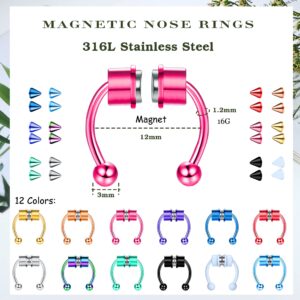 Sanfenly Septum Nose Ring Fake Septum Fake Nose Ring Horseshoe Stainless Steel Colorful Fake Nose Ring Faux Nose Piercing Non-Pierced Clip On Nose Hoop Rings Jewelry for Women Men