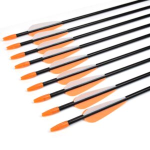 Archery Practice Fiberglass Arrows 26 Inch Target Shooting Safetyglass Recurve Bows Suitable for Youth Children Woman Beginner 6PCS