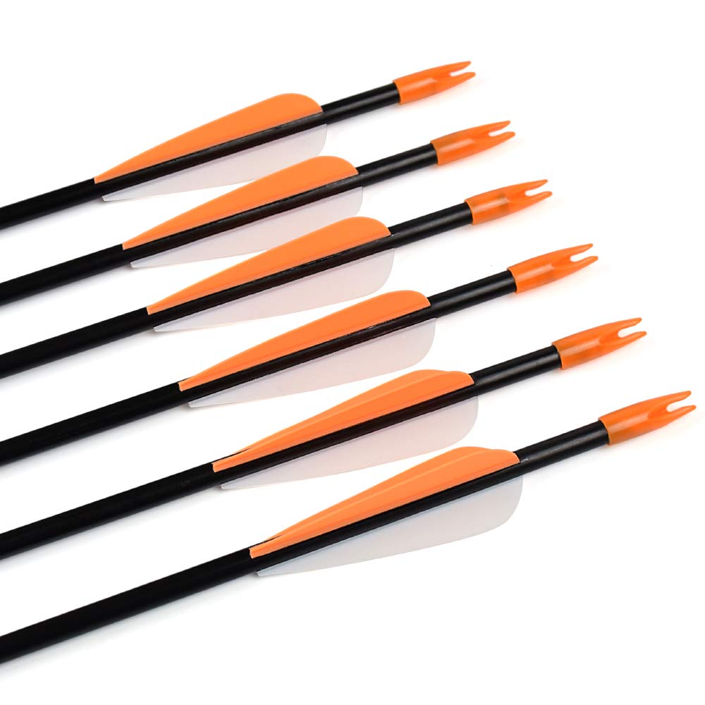 Archery Practice Fiberglass Arrows 26 Inch Target Shooting Safetyglass Recurve Bows Suitable for Youth Children Woman Beginner 6PCS