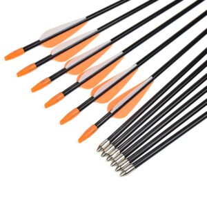 Archery Practice Fiberglass Arrows 26 Inch Target Shooting Safetyglass Recurve Bows Suitable for Youth Children Woman Beginner 6PCS