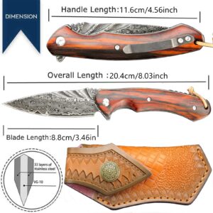 Sitivien ST242 Damascus Steel Folding Knife,Flipper Liner Lock Knife with Damascus VG10 Core Blade,Dalbergia Handle for Everyday Carry, Hunting and Outdoor …