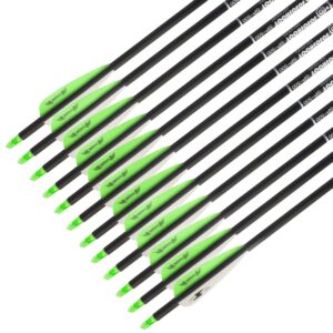 31inch Carbon Arrow Archery Targeting Practice Hunting Arrows for Compound & Recurve Bow with Removable Tips(Pack of 12) (Green White)