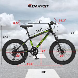 Elecony Ecarpat 20/24/26 Inch Fat Tire Mountain Bikes 7-Speed with Mechanical Disc Brakes Front Suspension, Mens Womens All Terrain Mountain Winter Snow Bicycles