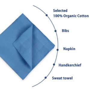 Zenssia Men's Blue Pure Cotton Handkerchiefs with Hem, Pack of 12 Pieces Hankies