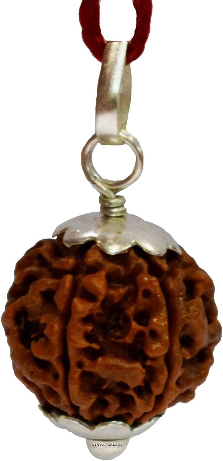 Astrodivine 21 Mukhi Rudraksha Original Certified Pendant Sterling Silver Real Nepal Bead Genuine Rudraksh Fruit 21 मुखी रुद्राक्ष पेंडल