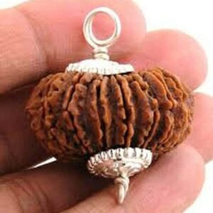 Astrodivine 21 Mukhi Rudraksha Original Certified Pendant Sterling Silver Real Nepal Bead Genuine Rudraksh Fruit 21 मुखी रुद्राक्ष पेंडल