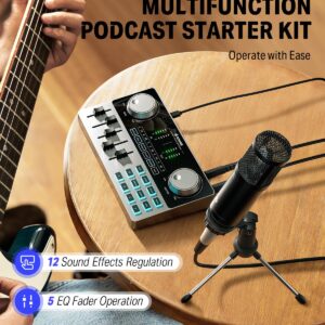 Donner Podcast Equipment Bundle, Podcast Kit Music Production Equipment with Audio Interface/Soundboard, All-in-One Podcast Kit with Condenser Microphone for PC/Phone/Pad for Streaming/Recording