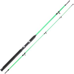 sougayilang fishing rod, 2-piece composite graphite & glass blanks saltwater trolling rod offshore surf fishing pole for catfish, salmon glass fiber spinning rod - green - 5.9ft