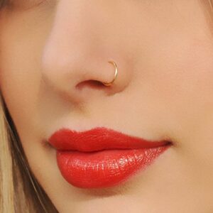 Briana Williams Ring Hoop Fake Nose Rings for Women Double Fake Nose Ring Faux Non-Pierced Clip On Nose Lip Ear Hoop Rings Non Piercing Body Jewelry