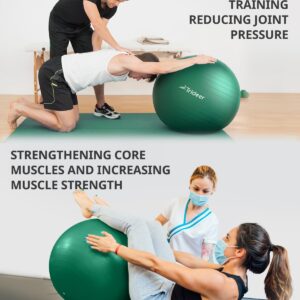 Trideer Exercise Ball for Physical Therapy, Swiss Ball Physio Ball for Rehab Exercises, Workout Fitness Ball for Core Strength, Yoga Ball for Balance & Flexibility