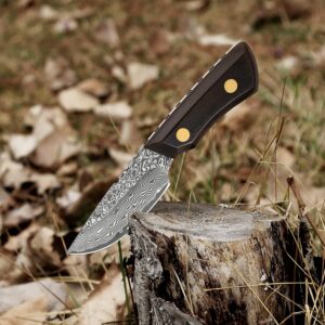 XITUO Damascus Bushcraft Knife, Hunting Knife - Handmade Survival Knife, forged Fixed Blade Knife, 5.5'’ EDC Camping Knife for Men | Fixed Blade with Ebony Wood Handle Leather Sheath