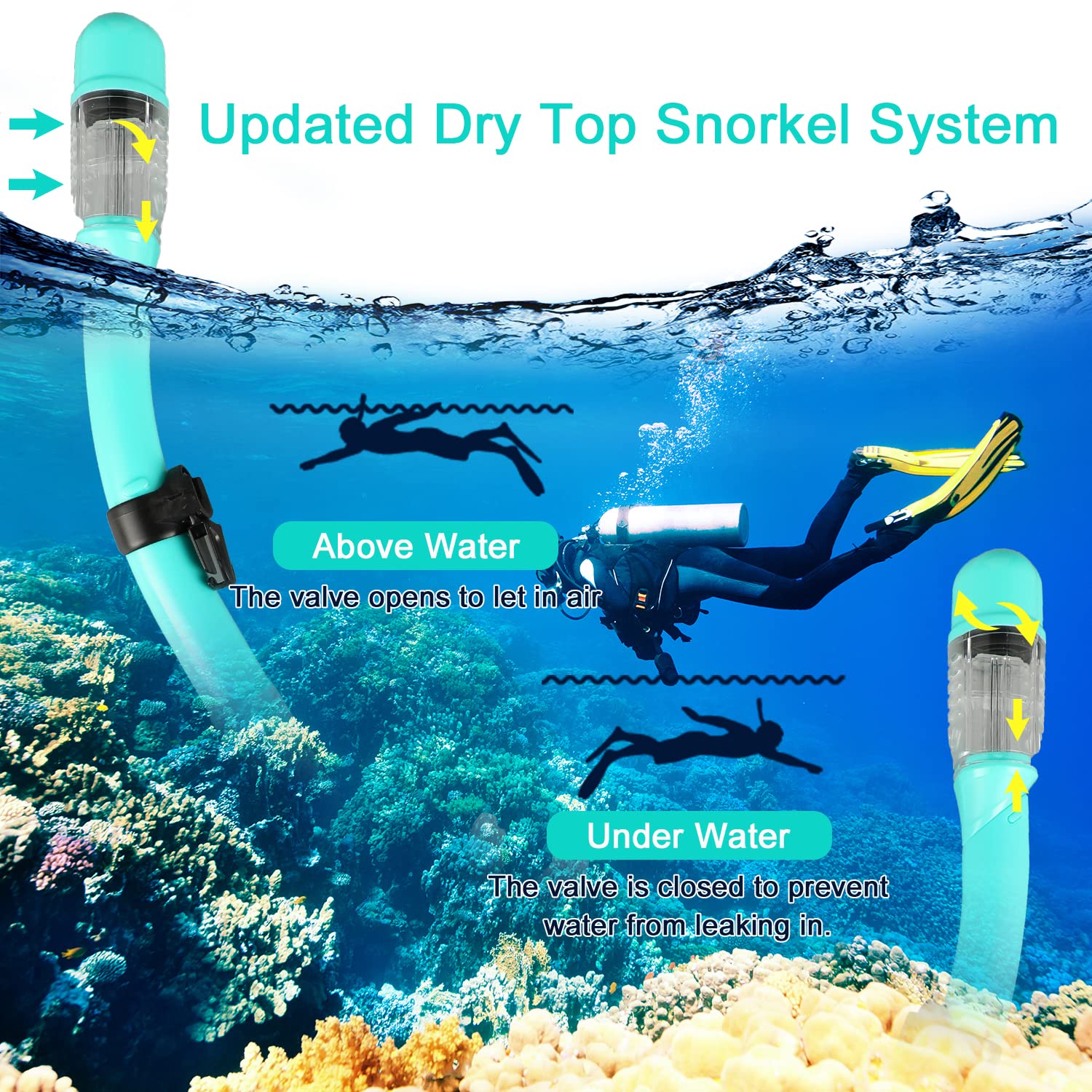 Snorkeling Gear for Adults, Mask Fins Snorkel Set with Diving Mask and Dry Top Snorkel Gear for Snorkeling Swimming Diving